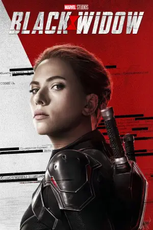 Постер до фильму"Чорна вдова" #570081