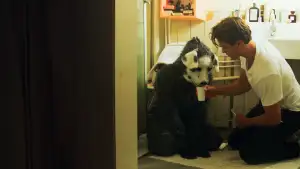 Задник до фильму"" #747285