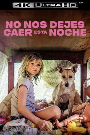 Постер до фильму"Don