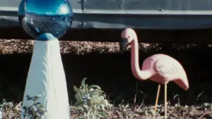 Задник до фильму"" #612049