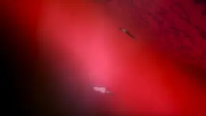 Задник до фильму"Євангеліон нового покоління: Кінець Євангеліону" #648746