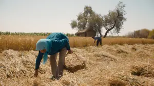 Задник до фильму"" #384629