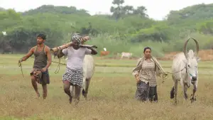 Задник до фильму"பைசன் காளமாடன்" #786331