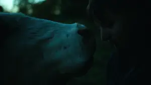 Задник до фильму"The Human Hibernation" #757300