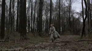 Задник до фильму"Таємничий ліс" #728866