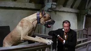 Задник до фильму"Доктор Дуліттл" #385029