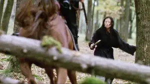 Задник до фильму"Будинок літаючих кинджалів" #809645