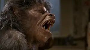 Задник до фильму"Американський перевертень у Лондоні" #811500