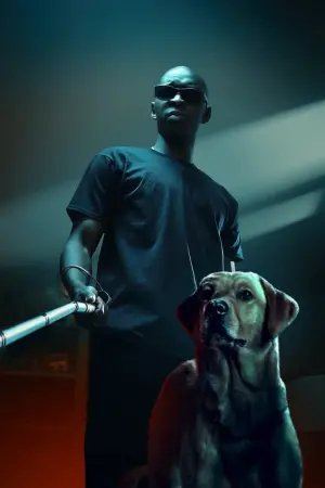 Постер до фильму"У його тіні" #417026