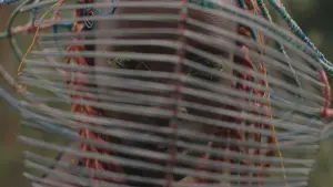 Задник до фильму"" #493086