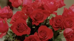 Задник до фильму"団鬼六　修道女縄地獄" #801560