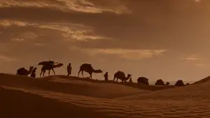 Задник до фильму"Англійський пацієнт" #732662