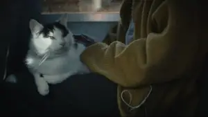 Задник до фильму"Тихе місце: День перший" #563344