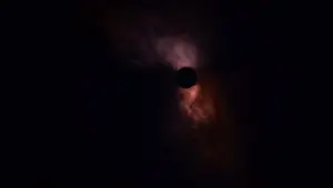 Задник до фильму"Древо життя" #266193