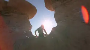 Задник до фильму"Древо життя" #723959