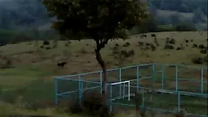 Задник до фильму"" #623384