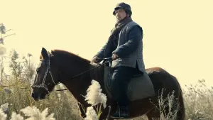 Задник до фильму"Залізничні тигри" #347593