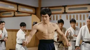 Задник до фильму"Шалений кулак" #688278