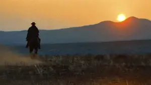 Задник до фильму"" #731163