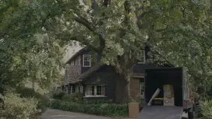 Задник до фильму"Одне ціле" #527878