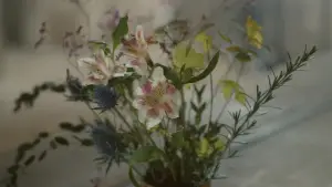 Задник до фильму"Портрет дівчини у вогні" #709691