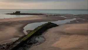 Задник до фильму"" #542274