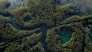 Задник до фильму"Озеро Каддо" #596372