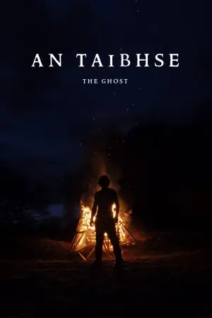 Постер до фильму"An Taibhse" #916919