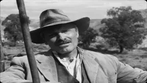 Задник до фильму"" #541468