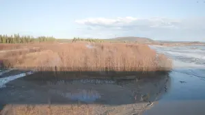 Задник до фильму"" #473405