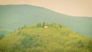 Відео до фільму Invaders From Within! | Invaders From Within! - Official Trailer