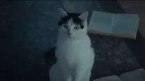 Задник до фильму"Тихе місце: День перший" #563345