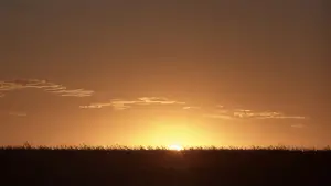 Задник до фильму"Проста історія" #529184