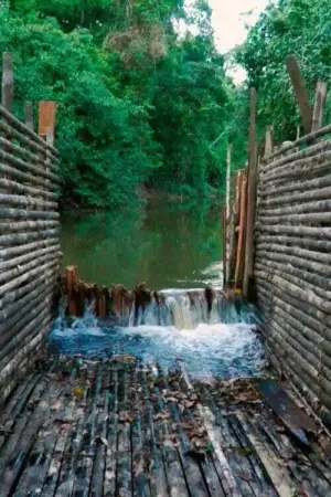 Постер до фільму "The Trap"