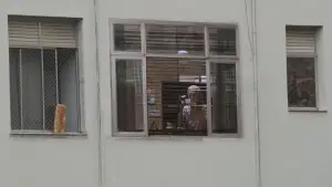 Задник до фильму"" #726124