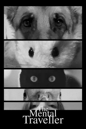 Постер до фильму"" #540025