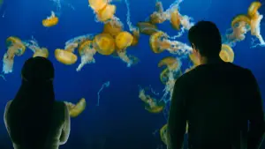 Задник до фильму"Усім хлопцям: P.S. Досі кохаю" #812336