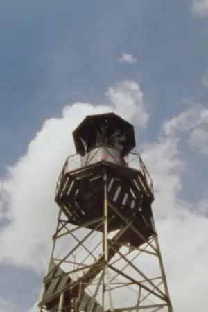 Постер до фильму"Direct Action" #777109