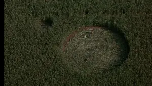 Задник до фильму"Знаки" #670287