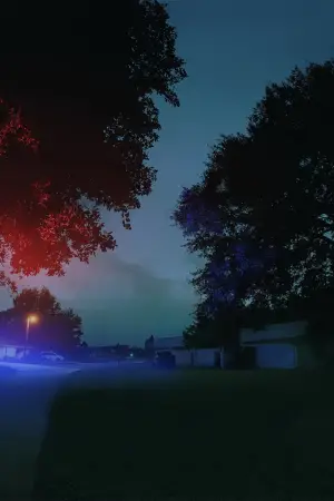 Постер до фильму"Ідеальна сусідка" #564978