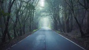 Задник до фильму"" #405946