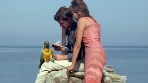 Задник до фильму"Pierrot le fou" #861699