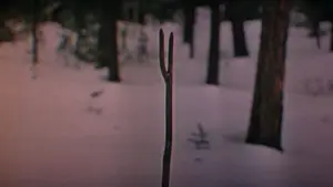 Задник до фильму"Дерсу Узала" #751356