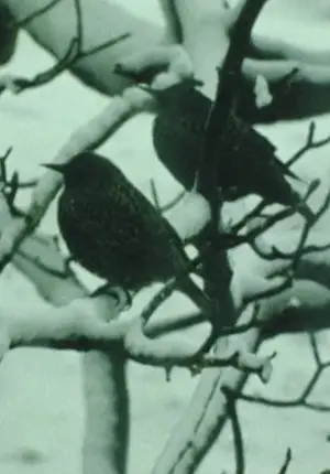 Постер до фильму"" #742749