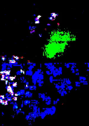 Gaze in the State of Confusion