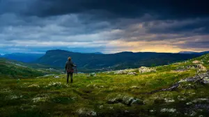 Задник до фильму"Земля тролів" #260486