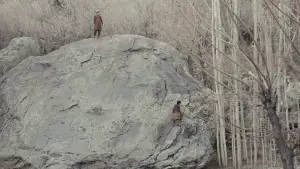 Задник до фильму"" #685083