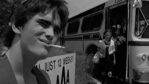 Задник до фильму"Бійцівська рибка" #720954