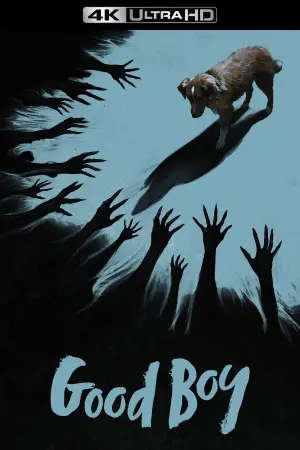 Постер до фильму"Хороший хлопчик" #770393