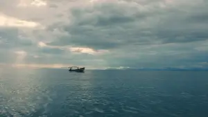 Задник до фильму"Pescador" #923574